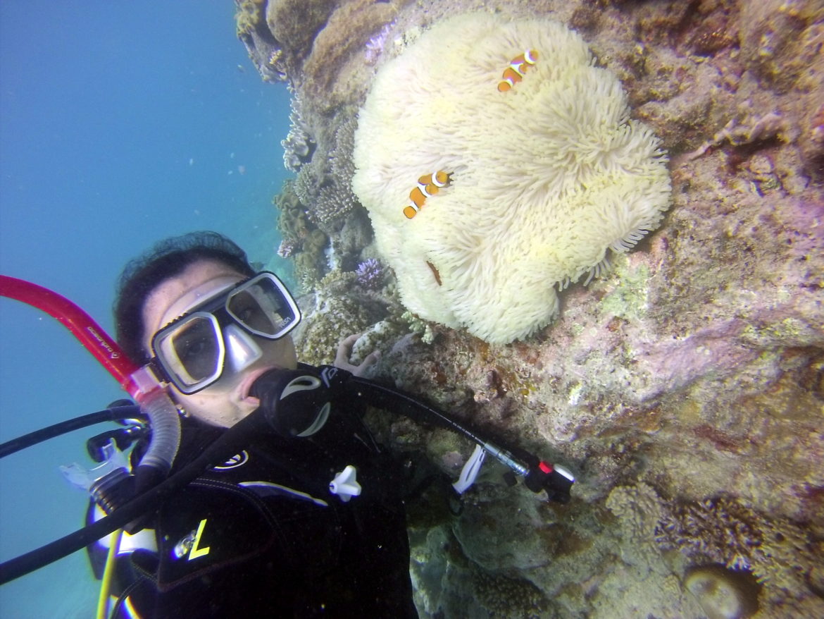 mergulho grande barreira de corais