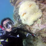 mergulho grande barreira de corais